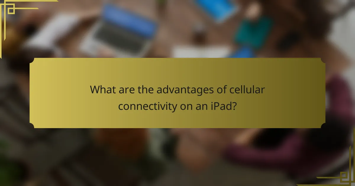 What are the advantages of cellular connectivity on an iPad?